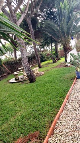 Jardín