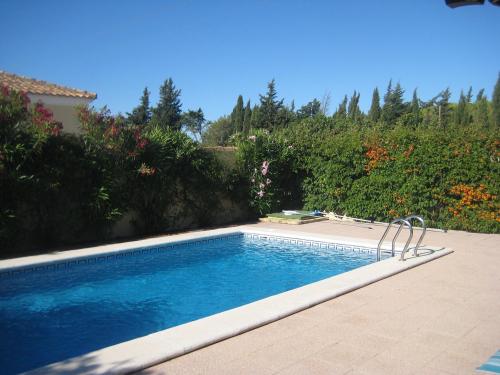 Piscina con cipreses