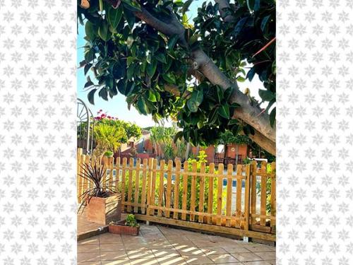 Debajo del árbol al lado de la piscina