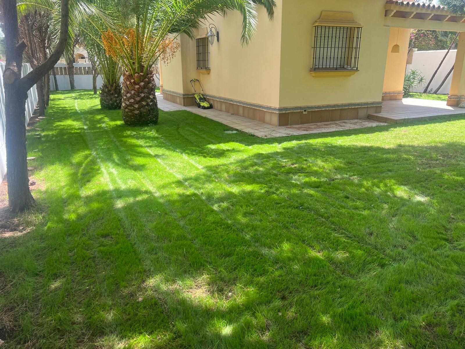 Imagen de WhatsApp 2025-03-21 a las 14.55.02_0c23a0ad